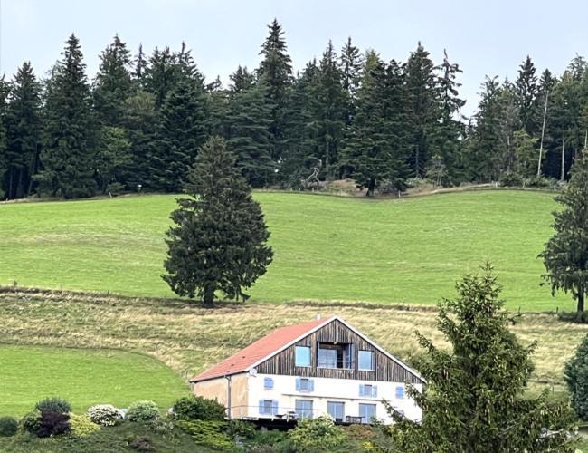 Maison D'Hotes Des Hauts De La Piquante Pierre Basse-sur-le-Rupt Esterno foto